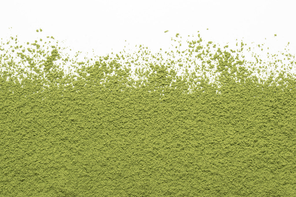 צנצנת 30 גרם מאצ׳ה | MATCHA UJI